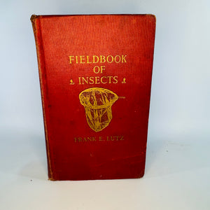 Vintage Natural History Field Guide — Field Book of Insects (1935 Sixth Impression) — Frank E. Lutz | Color Plates, Red Cloth, Natural History / Entomology