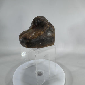 Landscape Agate Display Stone |Polished “Picture” Agate Slice |5" Desk Specimen, 1.5 lb |Gray Cream Bands |Natural Mineral Decor|Paperweight