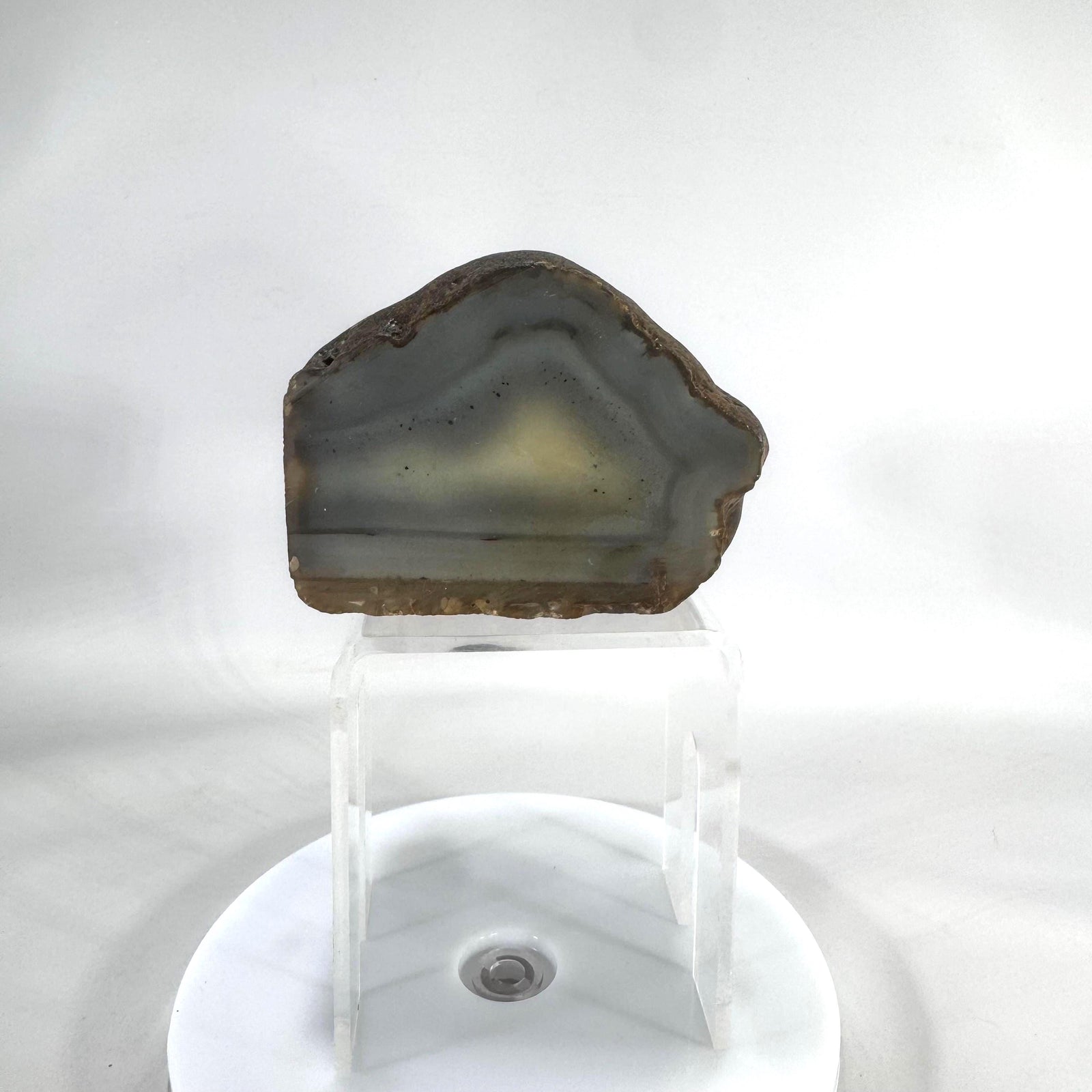 Polished agate slice with gray-blue bands and a creamy center; natural rough rind; approx. 1.5 lb display stone.