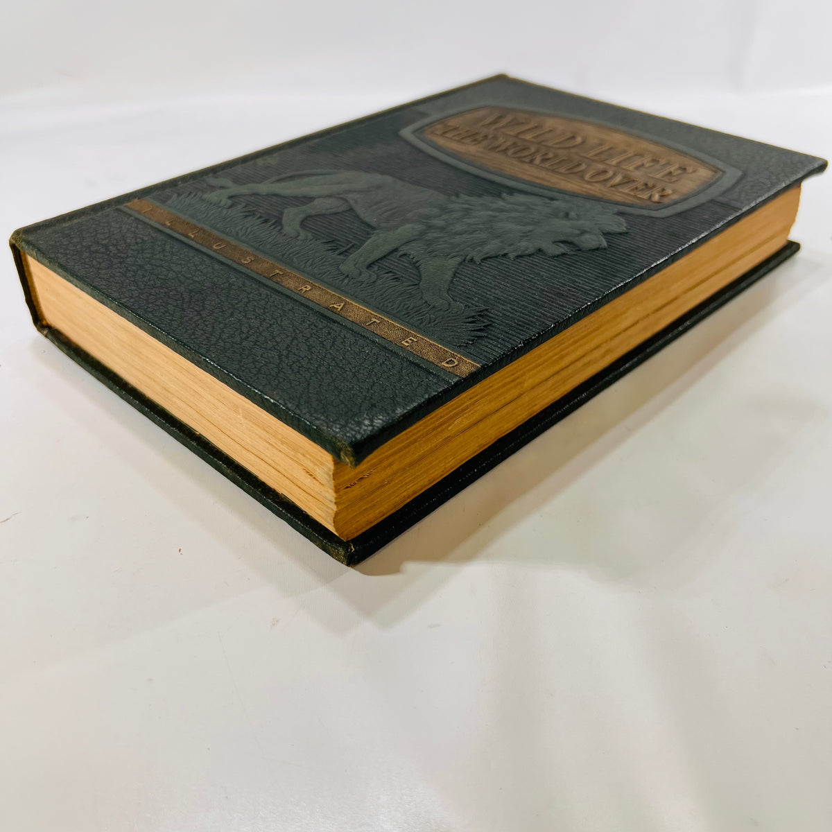Wildlife the World Over by 9 Distinguished World-Traveled Specialist 1947 Wise & Co.