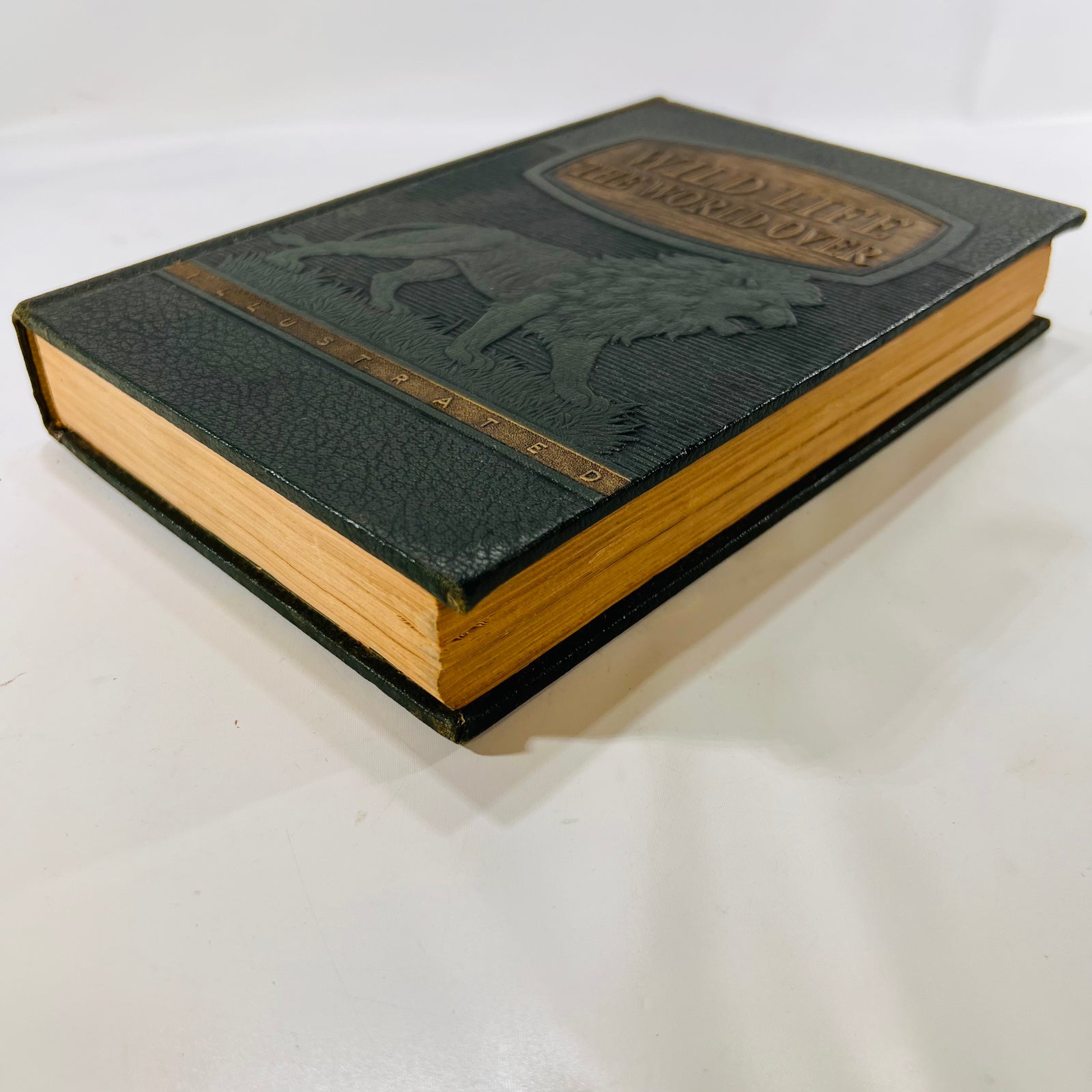 Wildlife the World Over by 9 Distinguished World-Traveled Specialist 1947 Wise & Co.