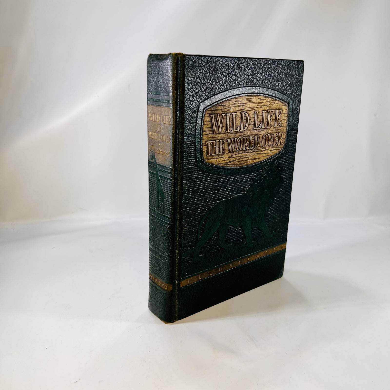 Wildlife the World Over by 9 Distinguished World-Traveled Specialist 1947 Wise & Co.
