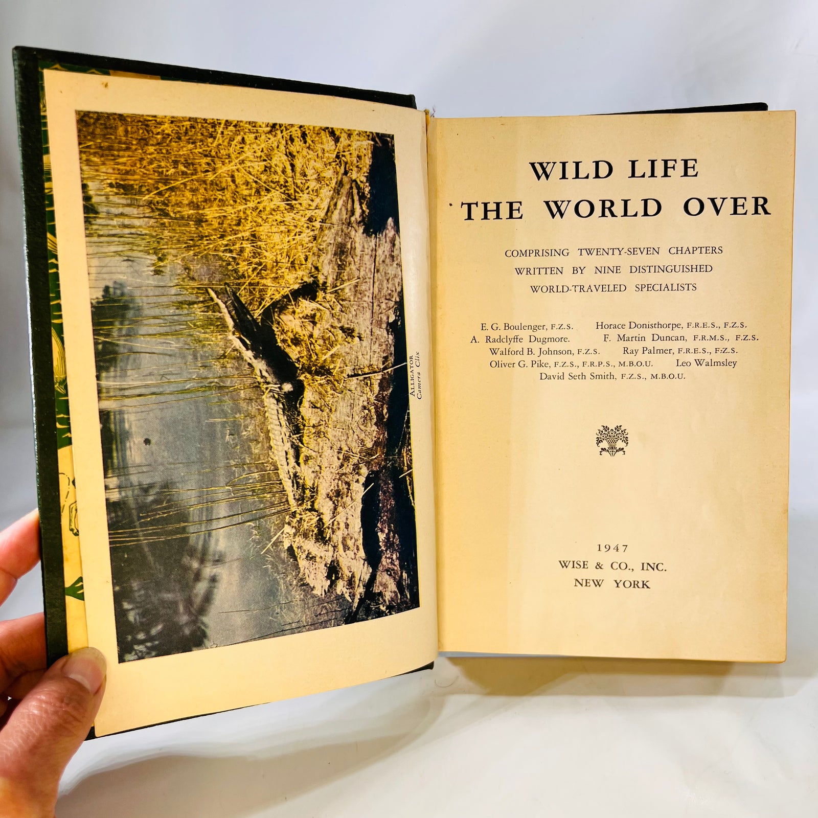 Wildlife the World Over by 9 Distinguished World-Traveled Specialist 1947 Wise & Co.