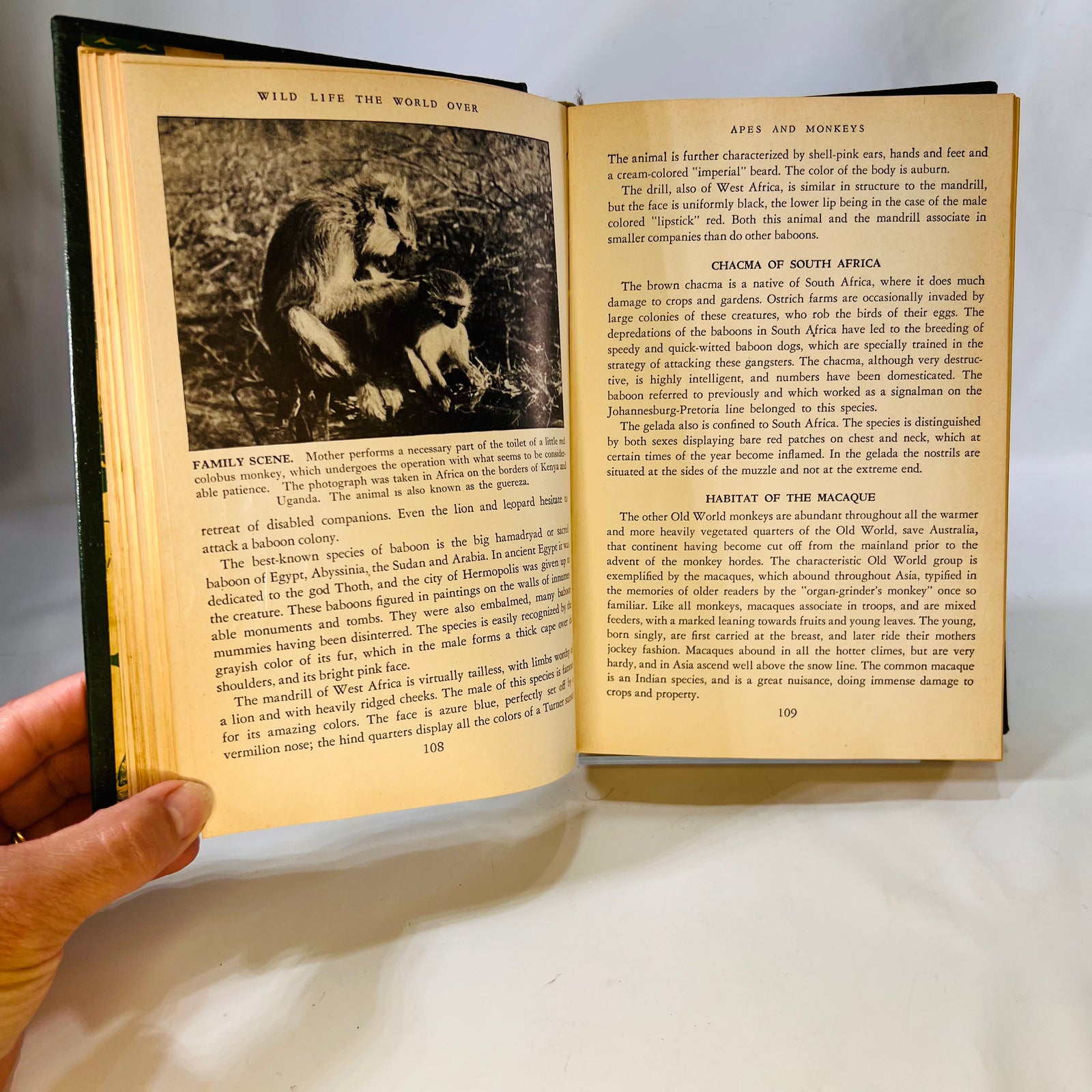 Wildlife the World Over by 9 Distinguished World-Traveled Specialist 1947 Wise & Co.