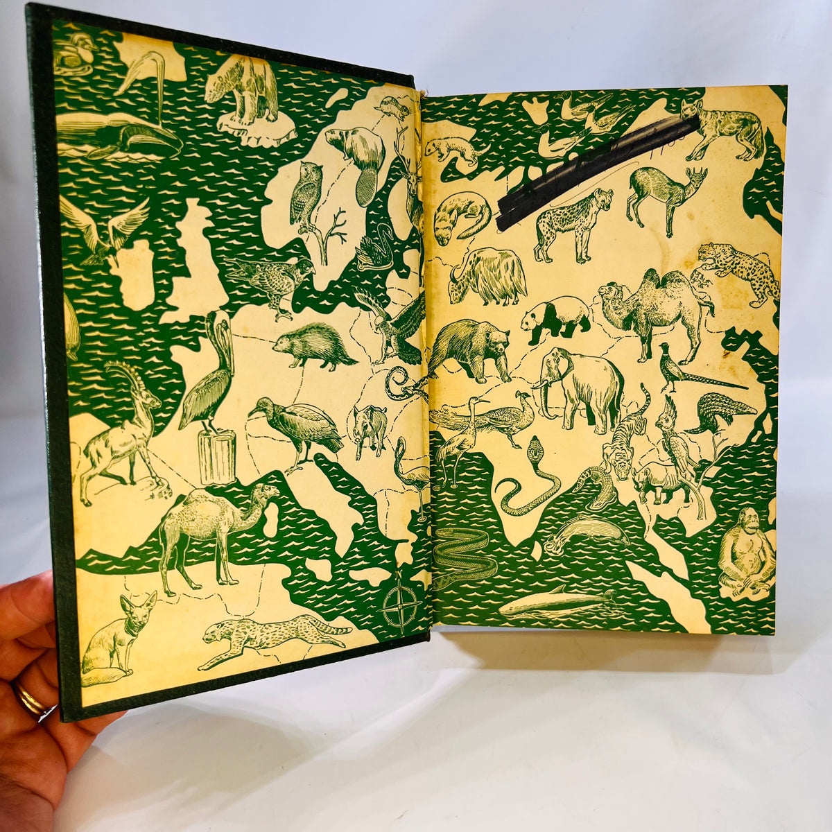 Wildlife the World Over by 9 Distinguished World-Traveled Specialist 1947 Wise & Co.