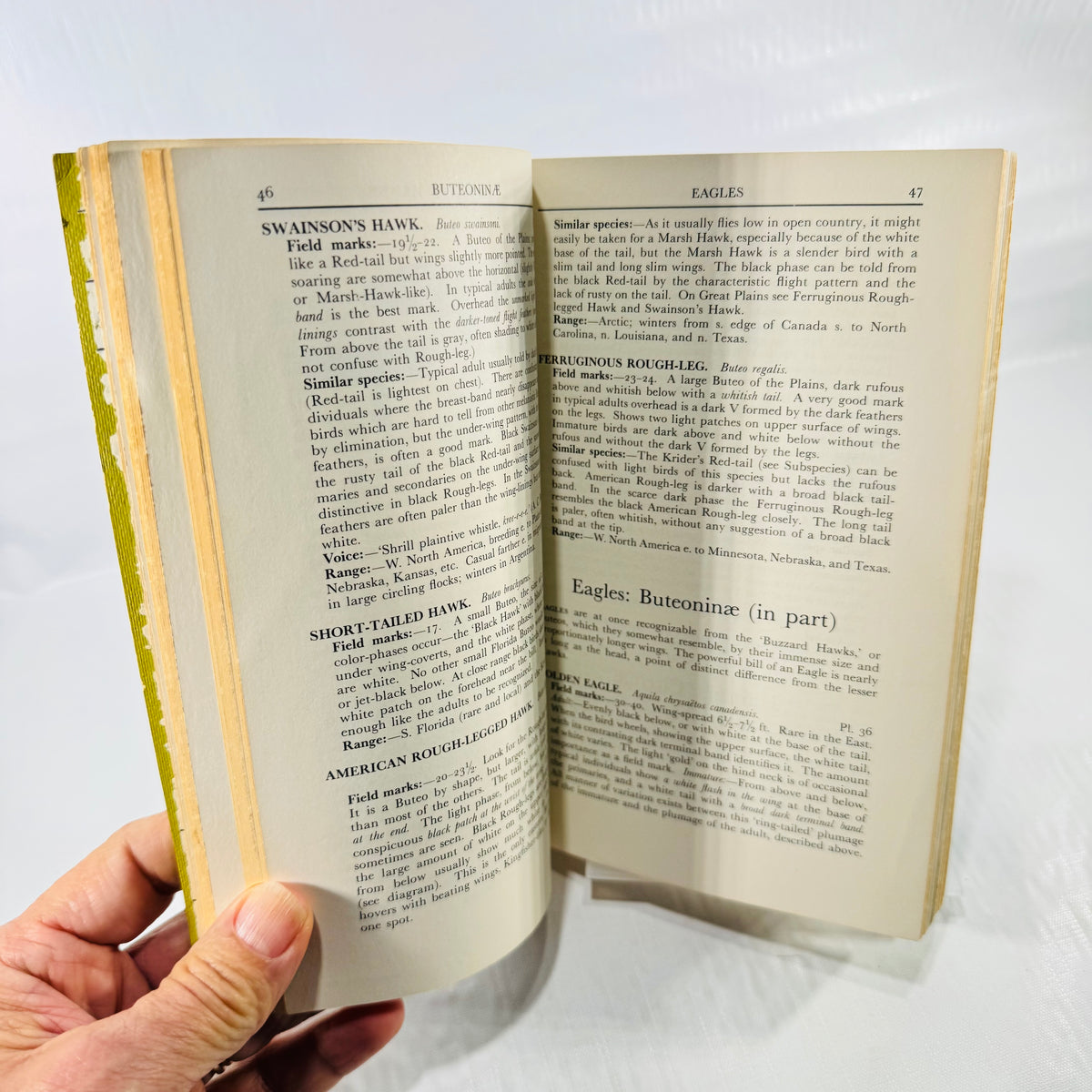 Peterson's A Field Guide to the Birds open to pages 46 and 47, with identification text for hawks and eagles.