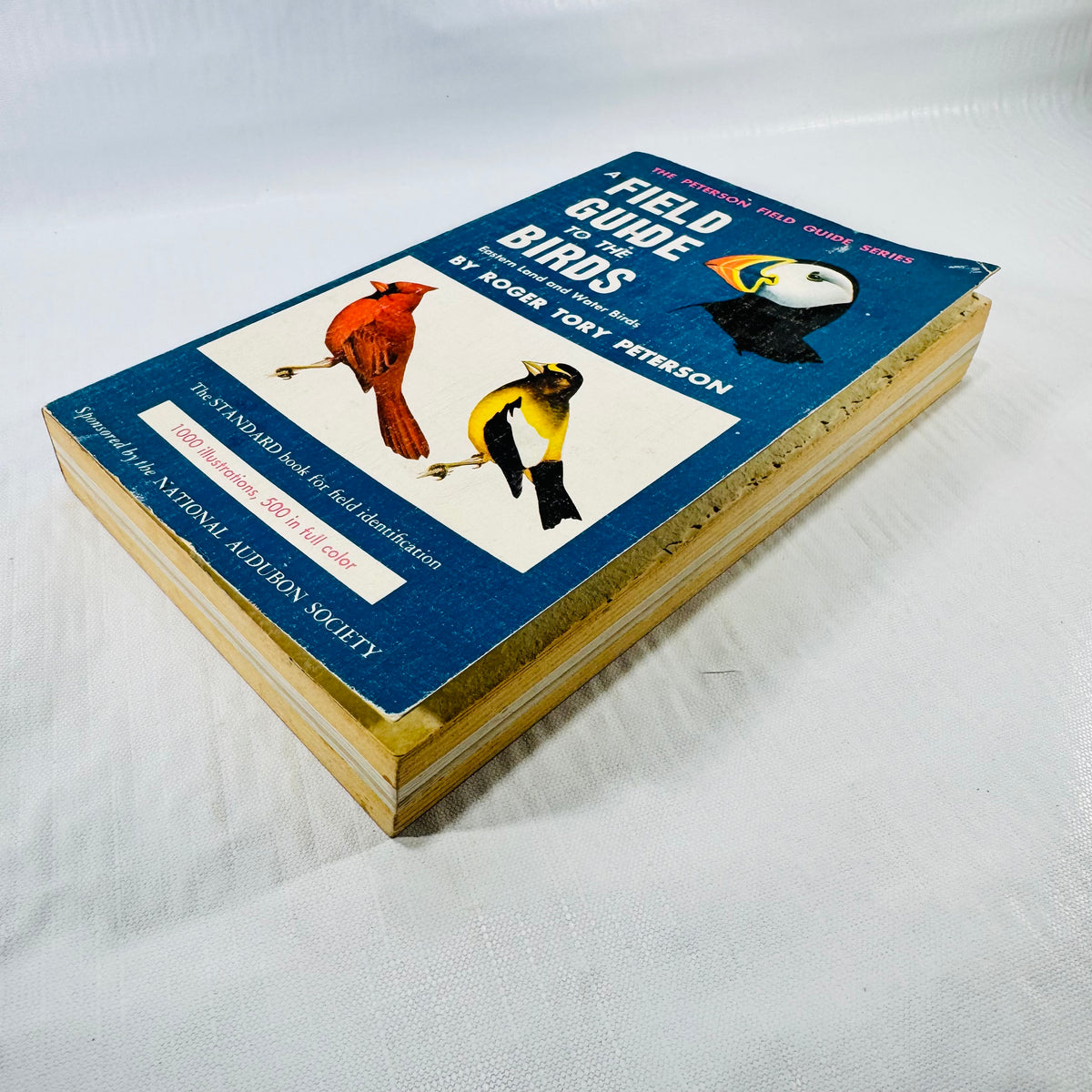 Angled front view of Peterson's bird guide paperback, showing worn blue covers and browned page edges with ragged paper near the front.