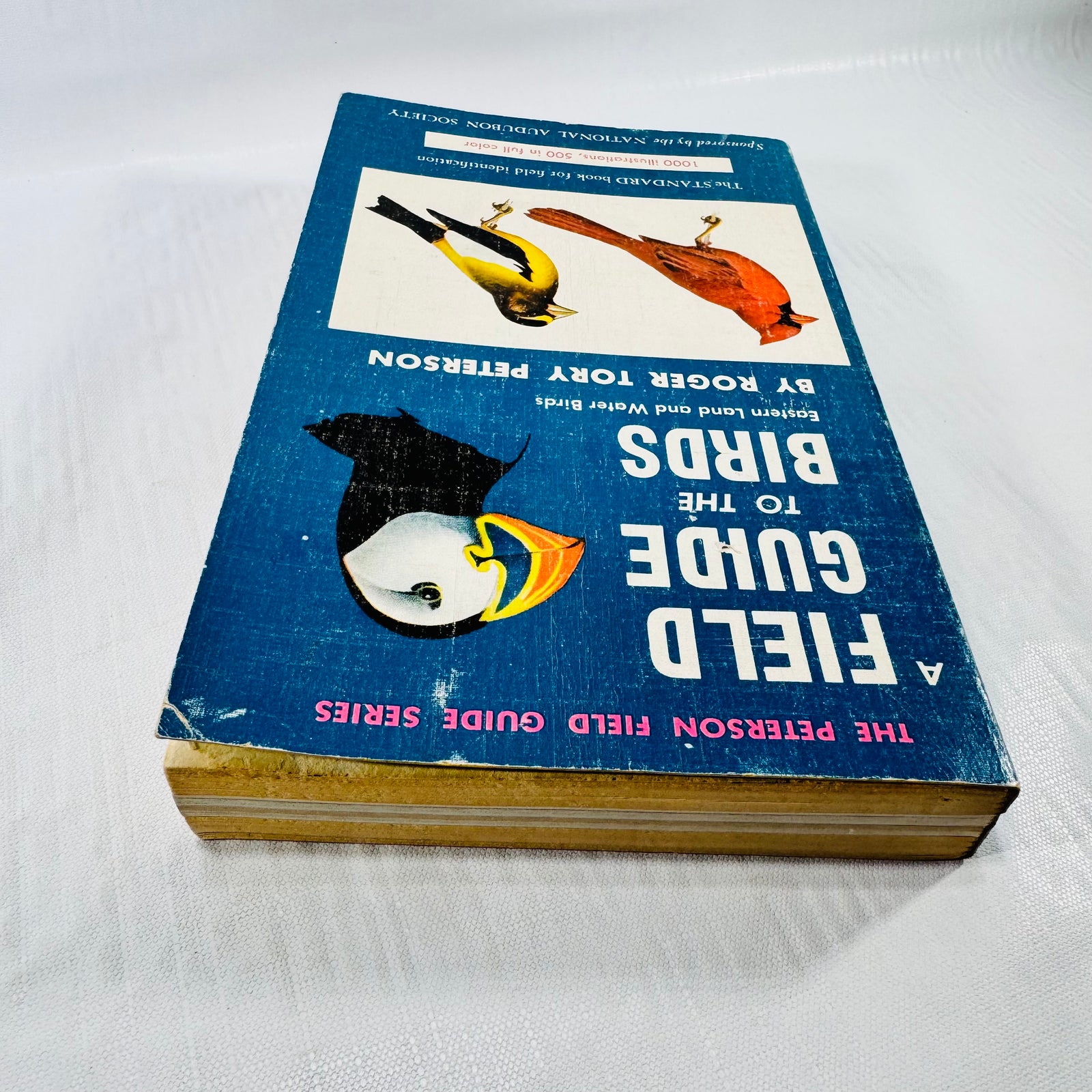 Top-edge view of Peterson's bird guide paperback showing browned page edges, the blue illustrated cover, and a creased cover corner.
