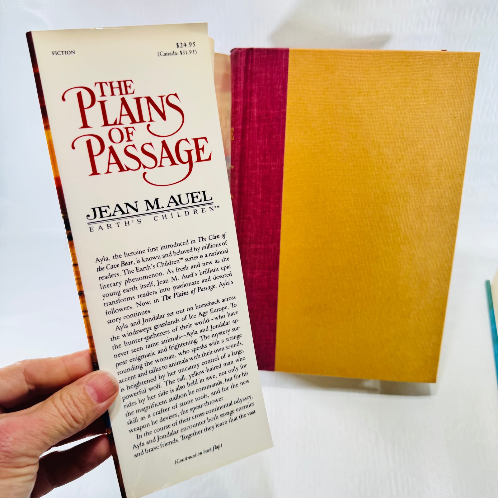 Plains of Passage jacket flap with 24.95 price and mustard cloth boards