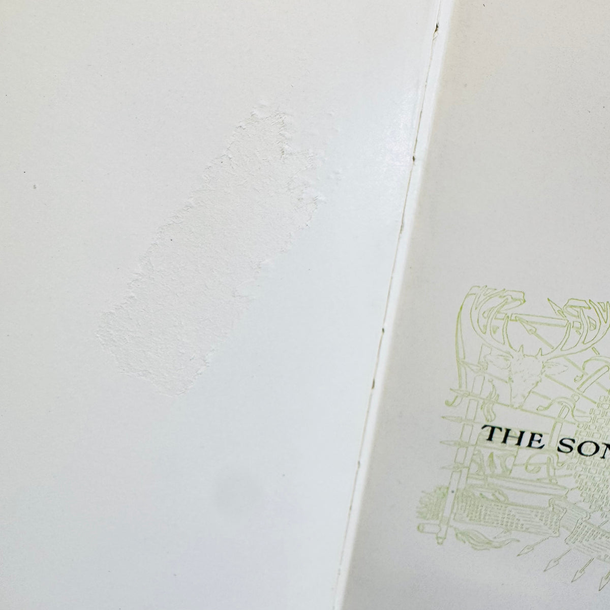 Pale rectangular tape scar on the front free endpaper of the green book