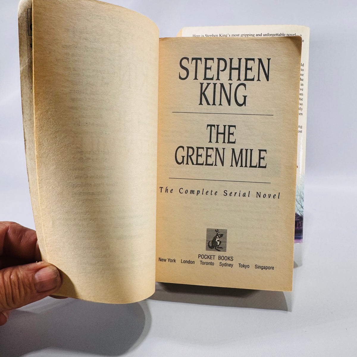 Two Stephen King Horror Paperbacks (1999), Bag of Bones and The Green Mile
