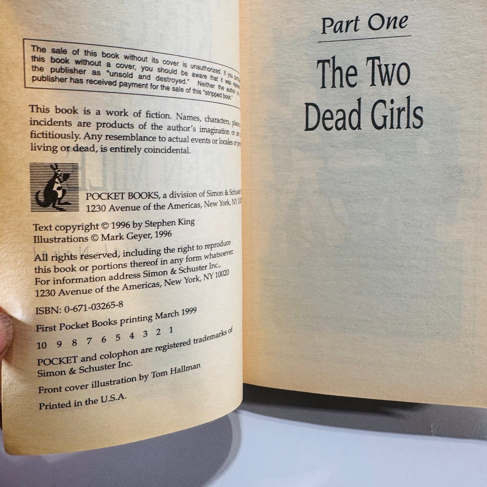 Two Stephen King Horror Paperbacks (1999), Bag of Bones and The Green Mile
