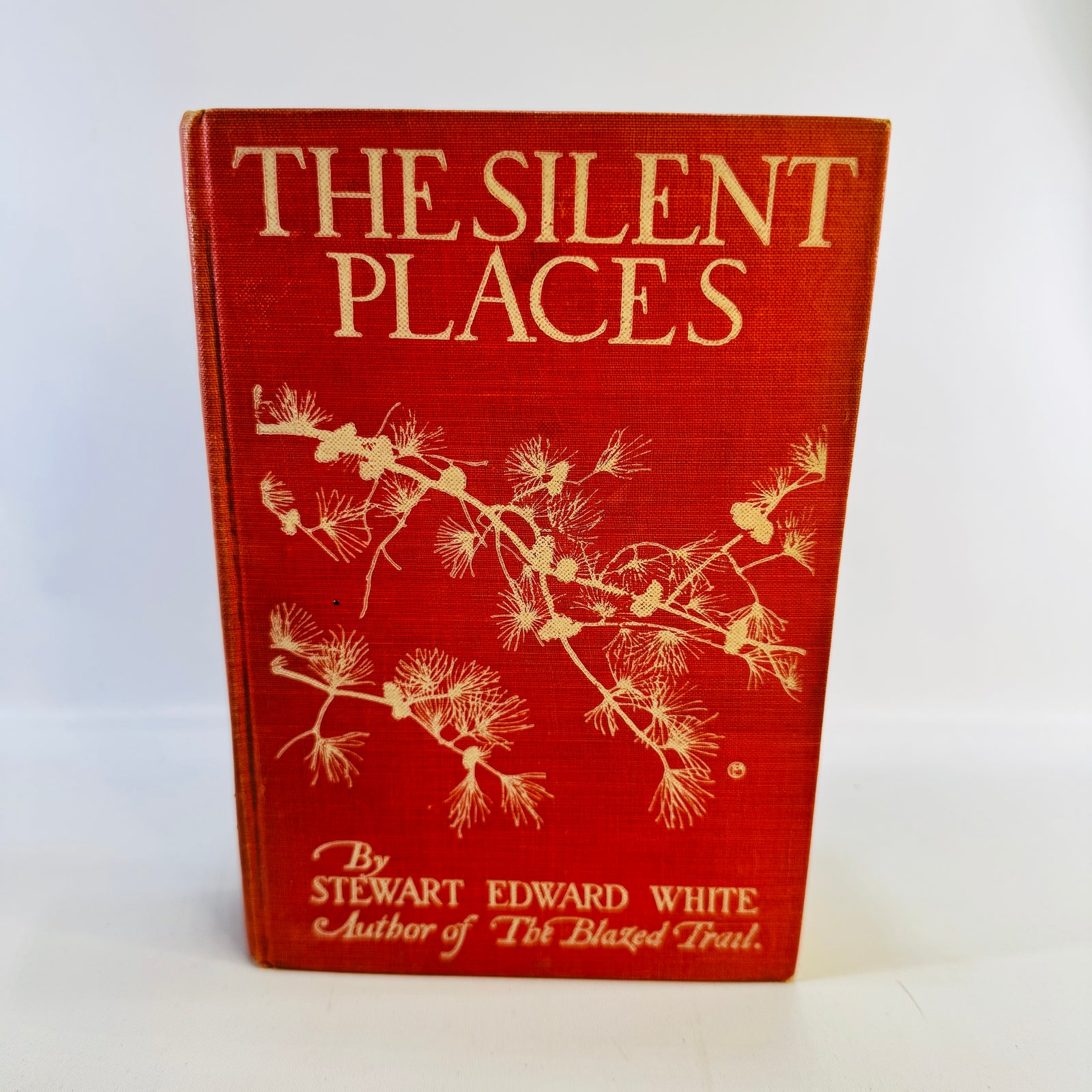 The Silent Places Stewart Edward White 1904 Seventh Impression Illustrated Wilderness Adventure Hardcover