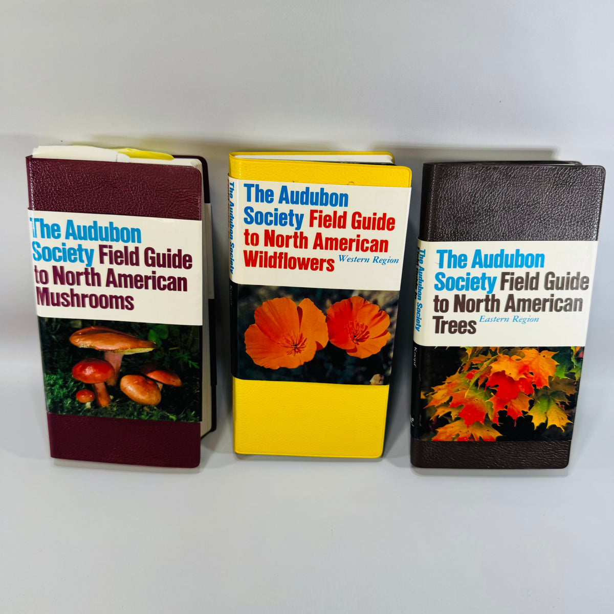 Vintage Audubon Field Guide Bundle Mushrooms Wildflowers Trees Knopf Nature Books 1980s