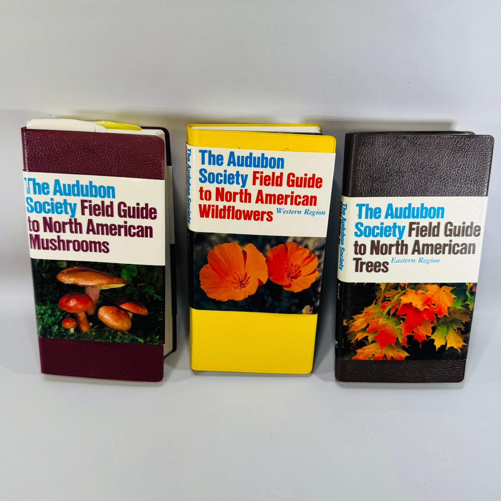 Vintage Audubon Field Guide Bundle Mushrooms Wildflowers Trees Knopf Nature Books 1980s