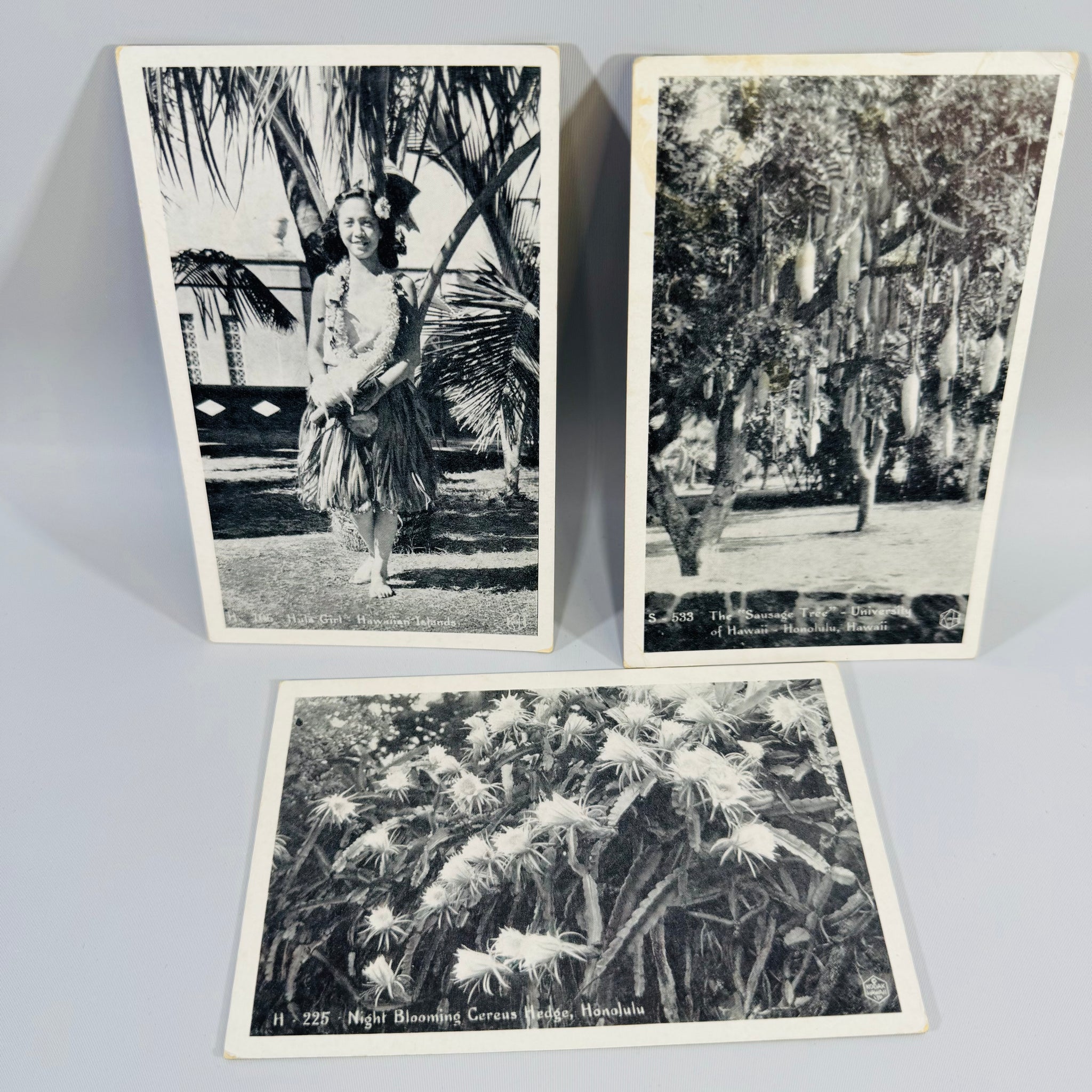 Vintage Hawaii Postcard Bundle – Honolulu Ephemera - Reading Vintage