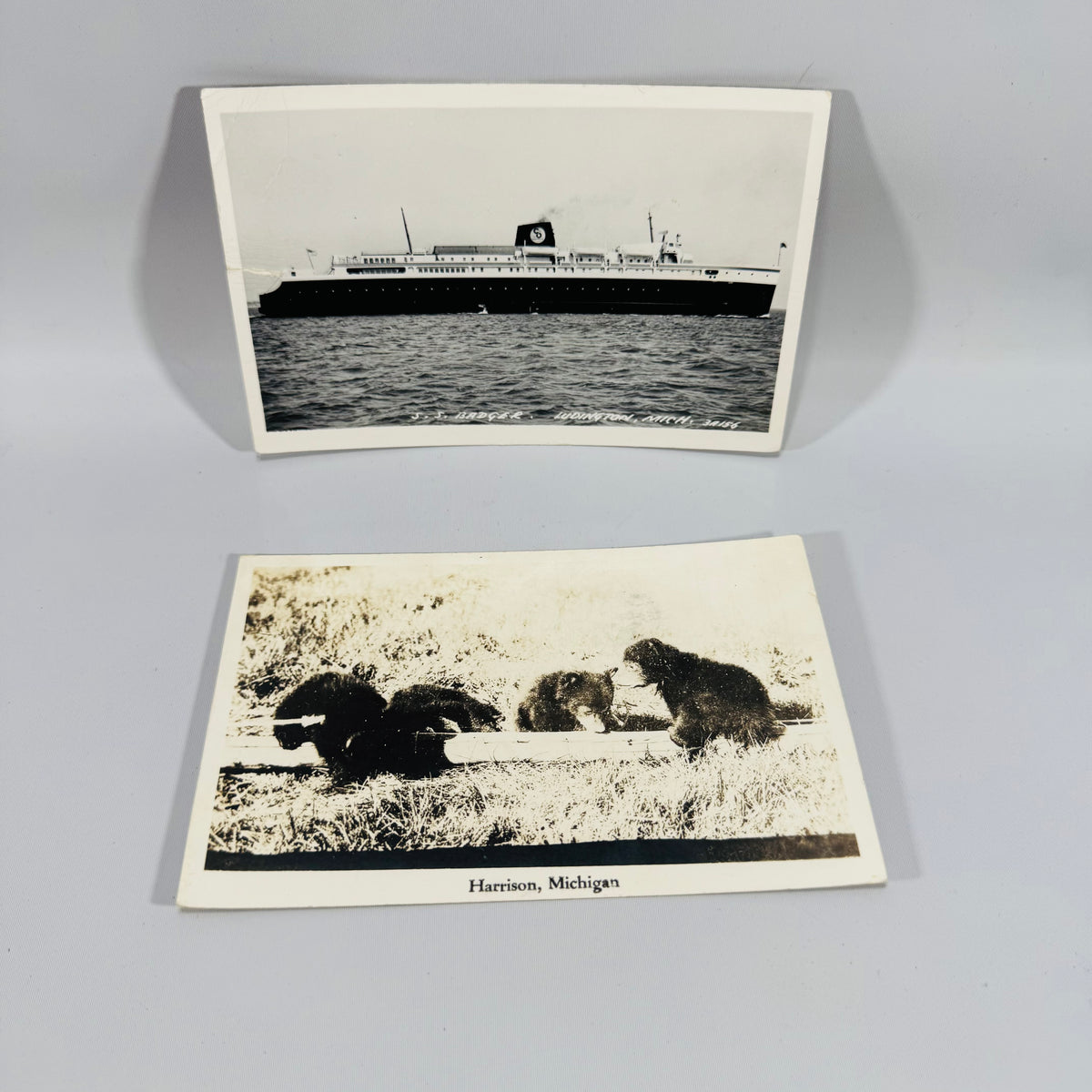 Vintage Michigan Postcard Bundle | S.S. Badger Ludington &amp; Harrison Bear Postcards