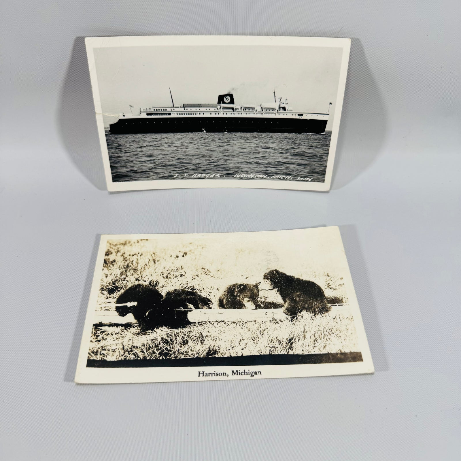 Vintage Michigan Postcard Bundle | S.S. Badger Ludington & Harrison Bear Postcards