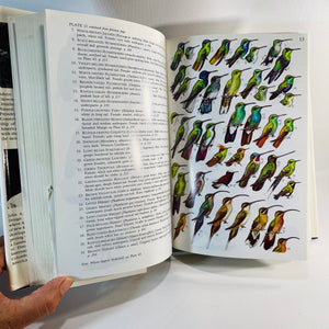Birds of Panama with Costa Rica, Nicaragua, and Honduras by Robert Ridgely 1989 Vintage Book