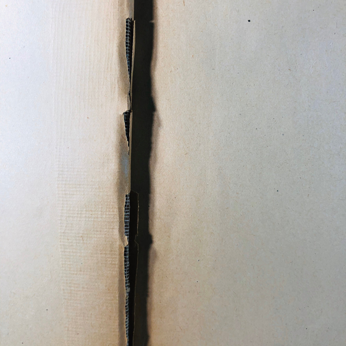 A History of Art by William Goodyear MA 1889
