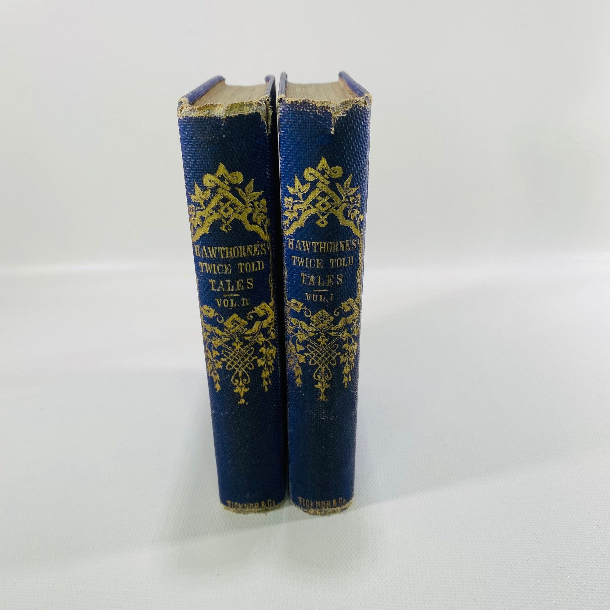 Hawthorn's Twice-Told Tales Volume One & Two by Nathaniel Hawthorn 1865 University Press Vintage Book