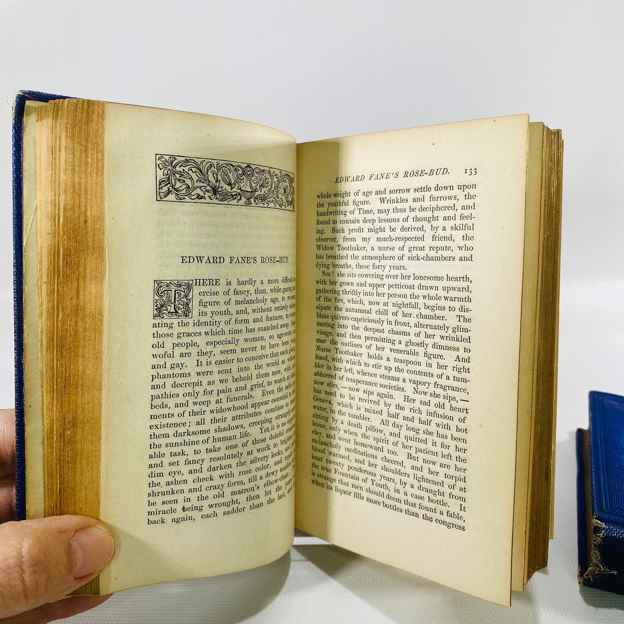 Hawthorn's Twice-Told Tales Volume One & Two by Nathaniel Hawthorn 1865 University Press Vintage Book