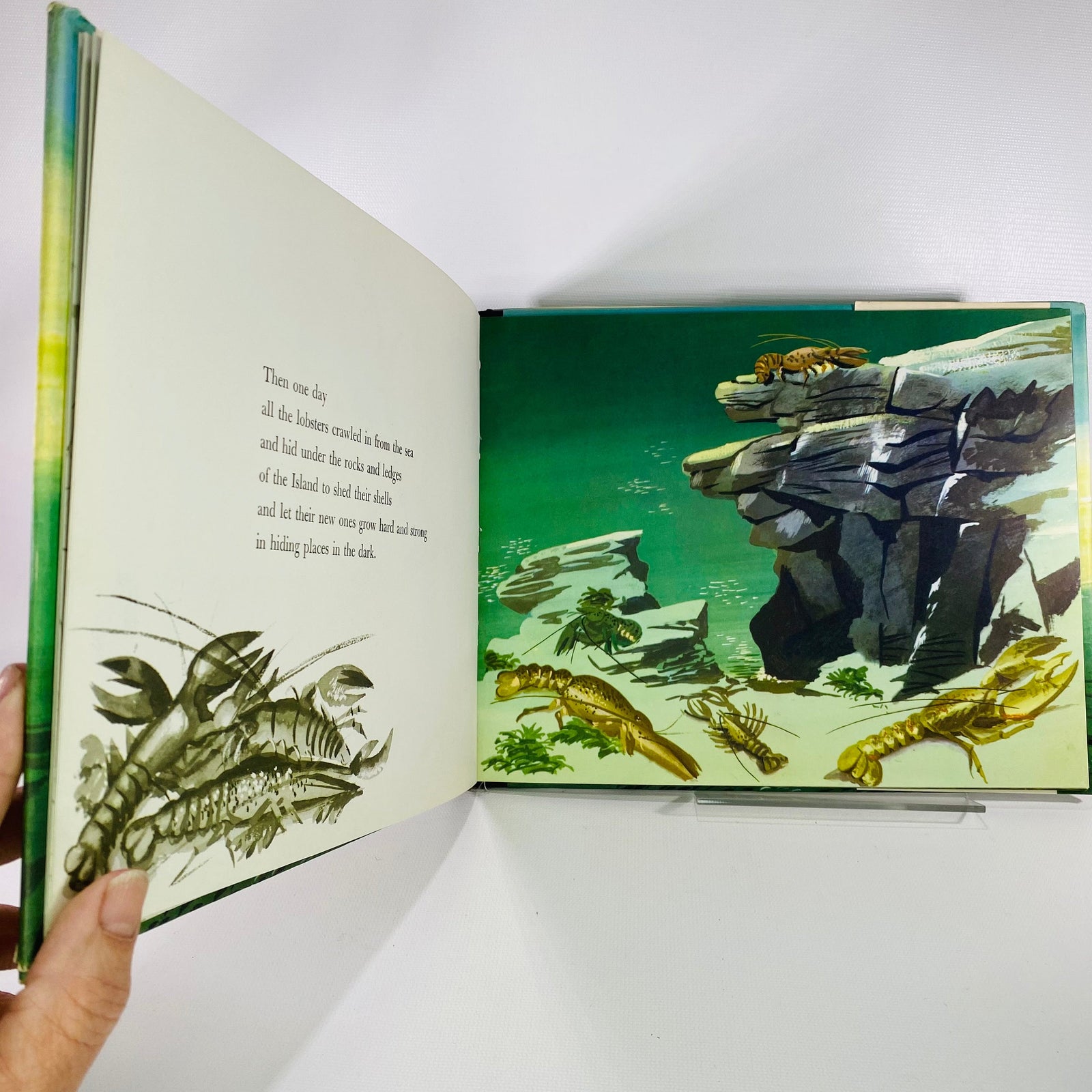 The Little Island by Golden MacDonald 1946 Doubleday & CompanyVintage Book