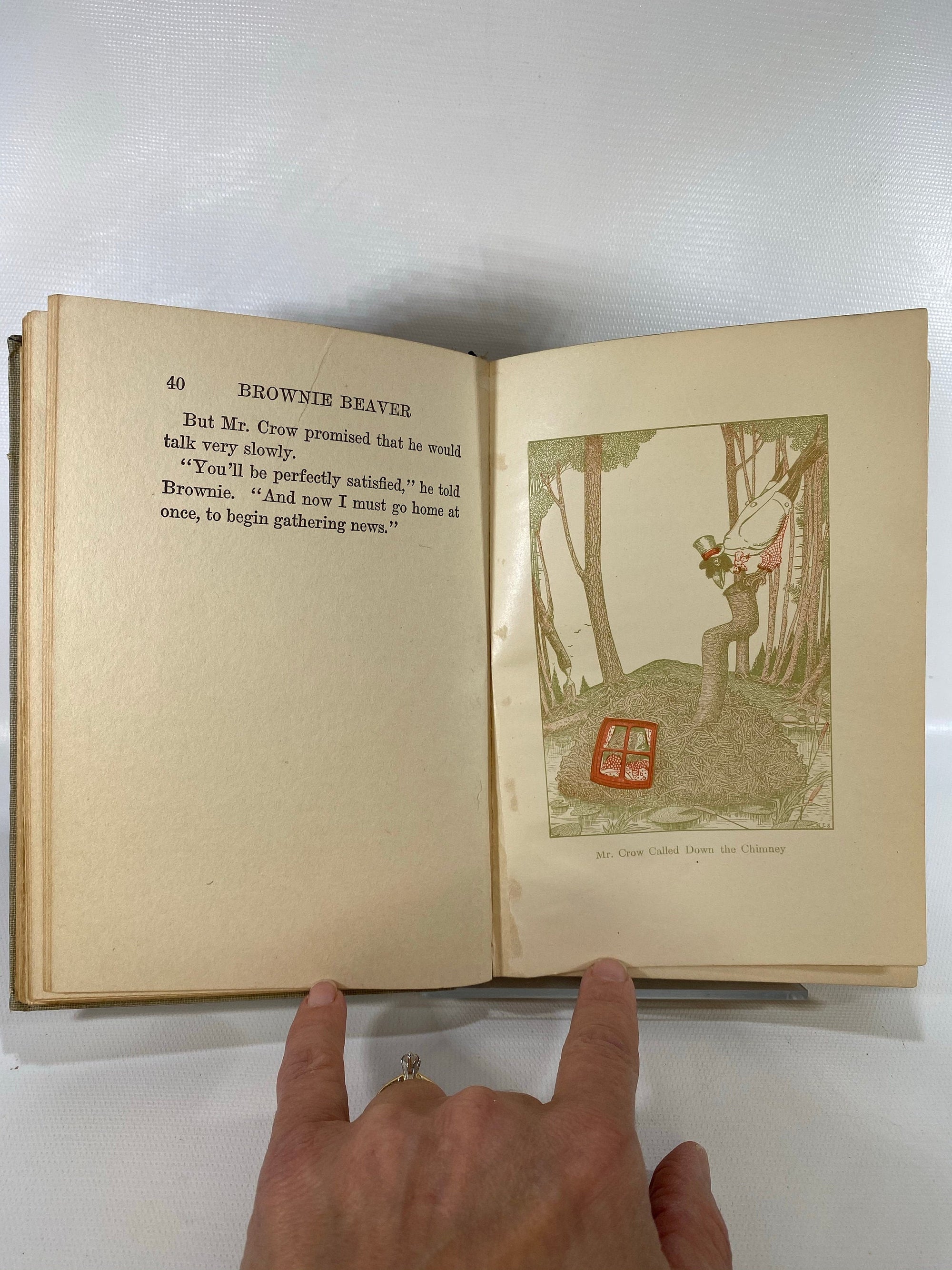The Tale of Brownie Beaver by Arthur Scott Bailey 1916 Sleepy Time Tales Grosset & DunlapVintage Book