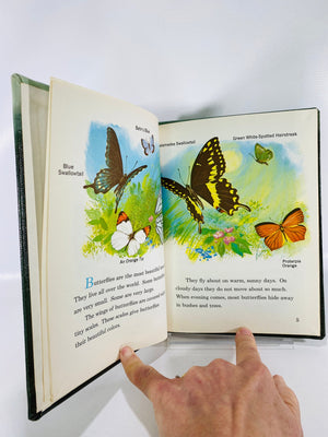 Butterflies by Jeanne Brouillette 1961 Follett Science BookVintage Book