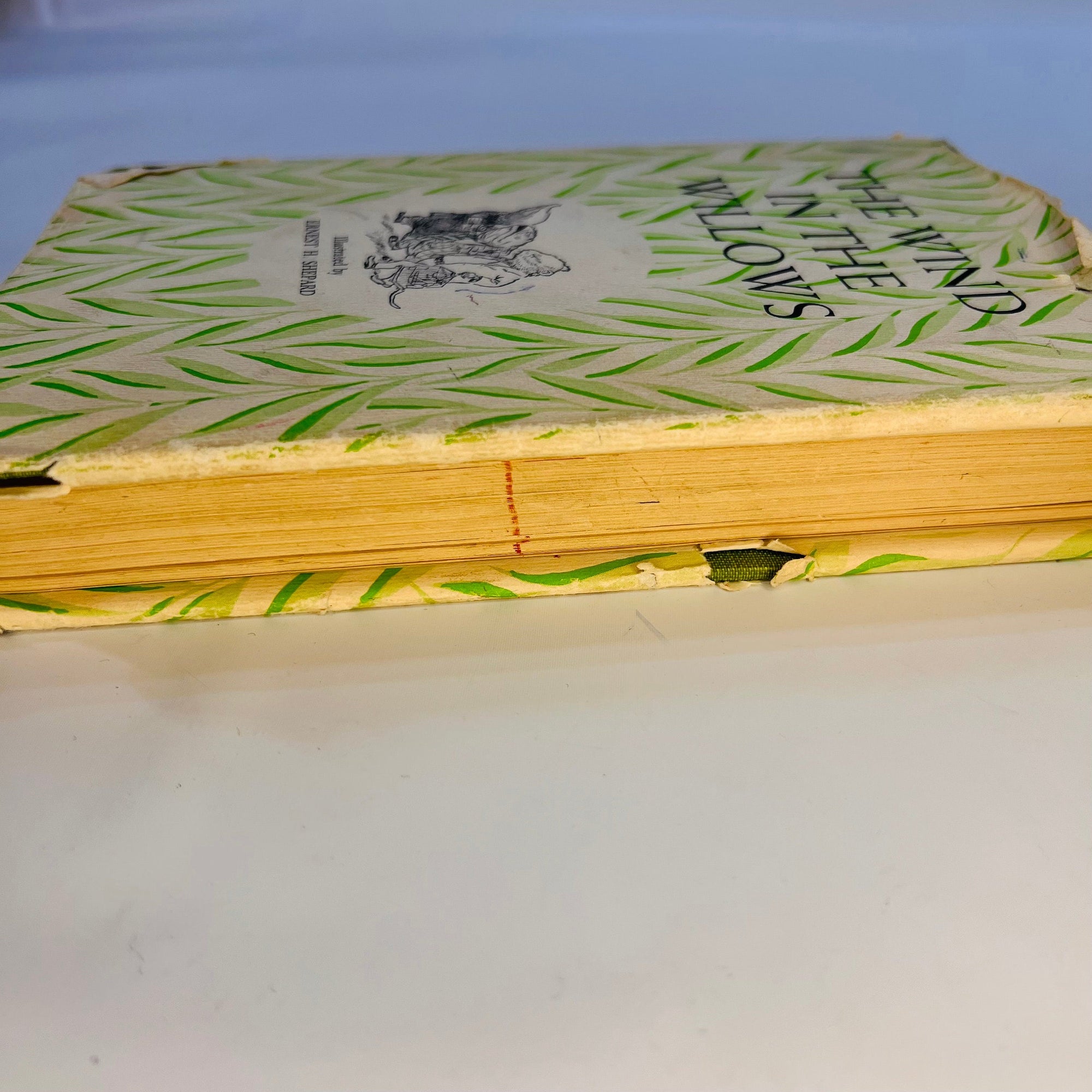 The Wind in the Willows by Kenneth Grahame 1961 Charles Scribner's Sons New YorkVintage Book