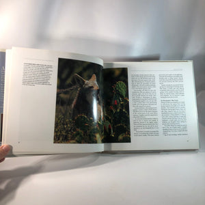 The Audubon Society Guide to Nature Photography by Tim Fitzharris 1990