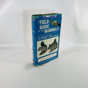 A Field Guide to the Mammals by William Burt 1964