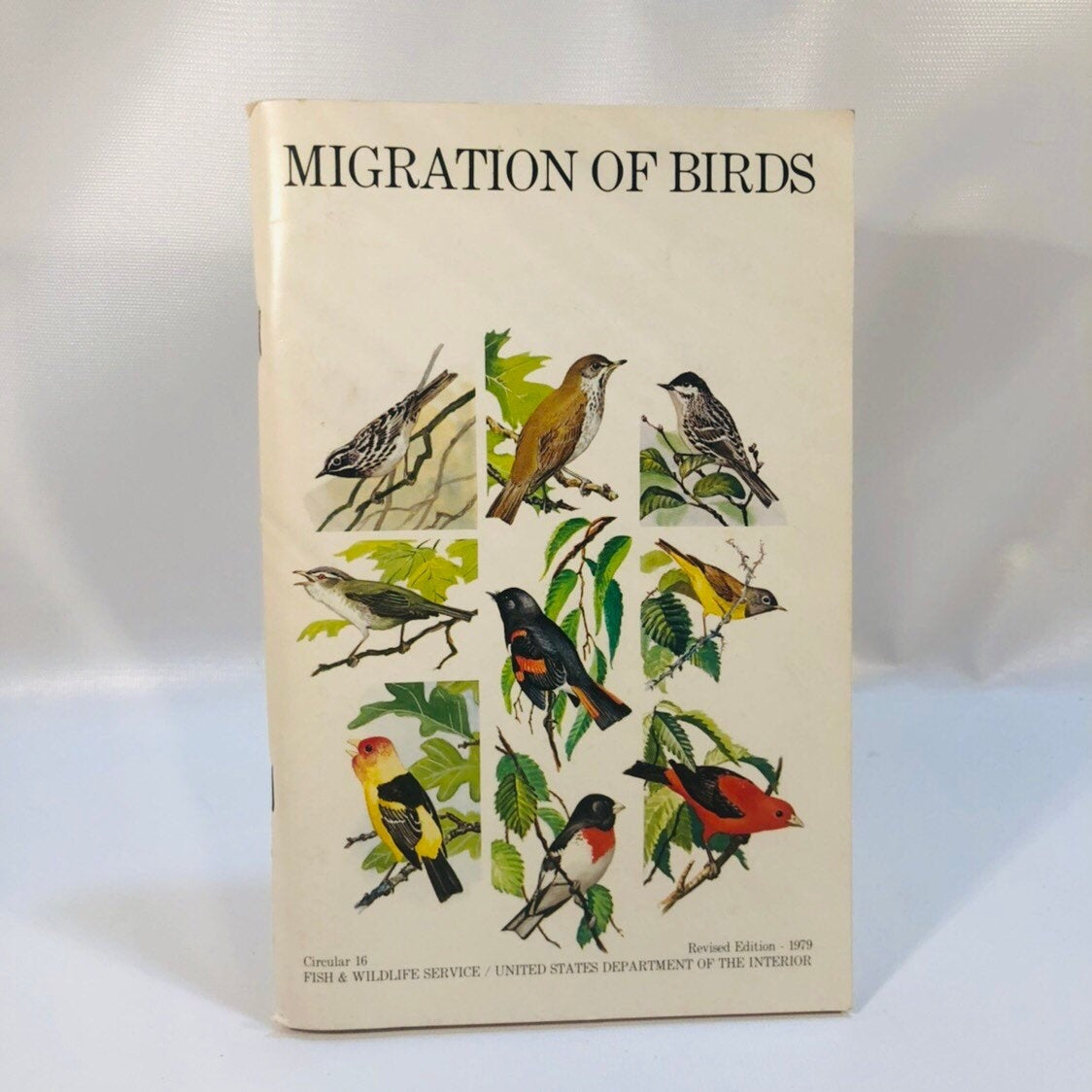 Migration of Birds by Frederick Lincoln 1979 Published by The Fish & Wildlife Service