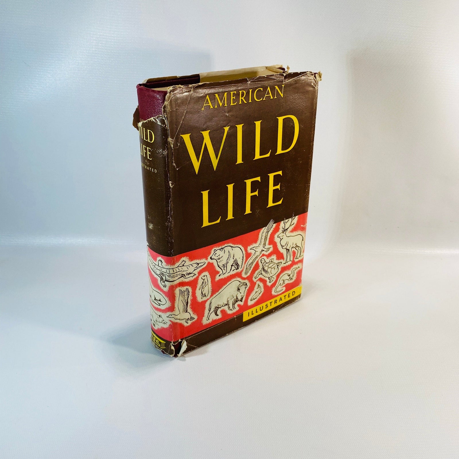 American Wild Life Illustrated Whm. H. Wise 1954
