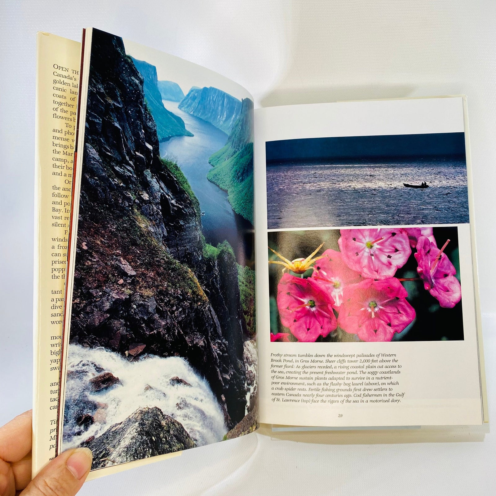 Canada's Wilderness Lands by National Geographic Society 1982