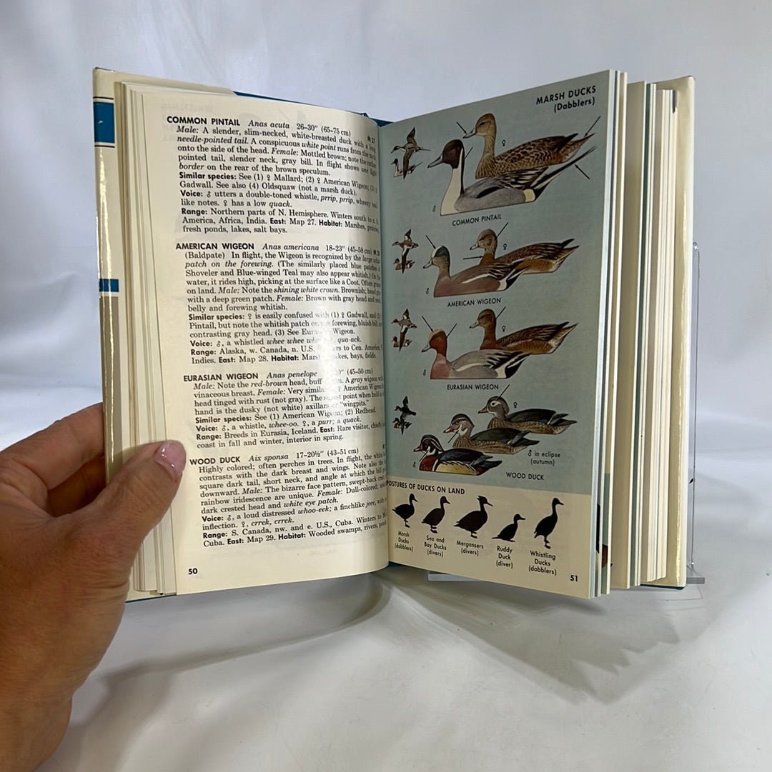 A Field Guide to the Birds East of the Rockys by Roger Peterson  1980 Vintage Book