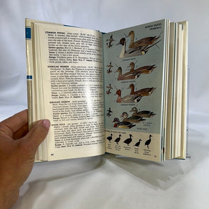 A Field Guide to the Birds East of the Rockys by Roger Peterson  1980 Vintage Book