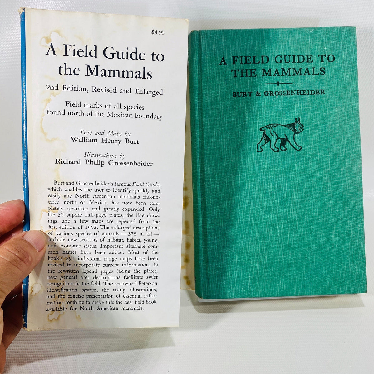 A Field Guide to the Mammals by William Burt 1964