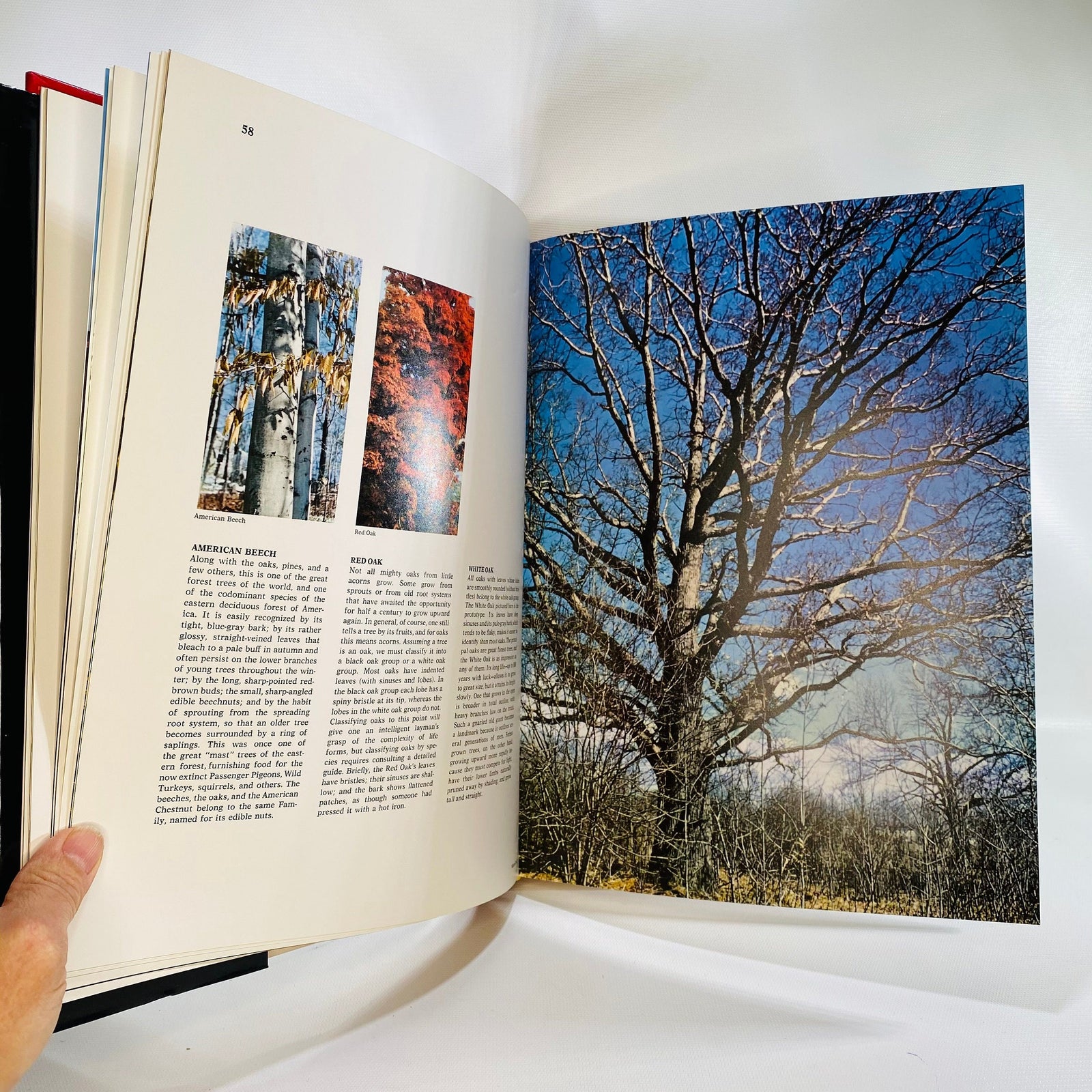 Hammond Nature Atlas of America by Roland Clement 1973