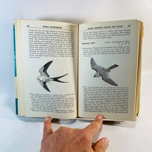 Audubon Water Bird Guide by Richard H. Pough 1951