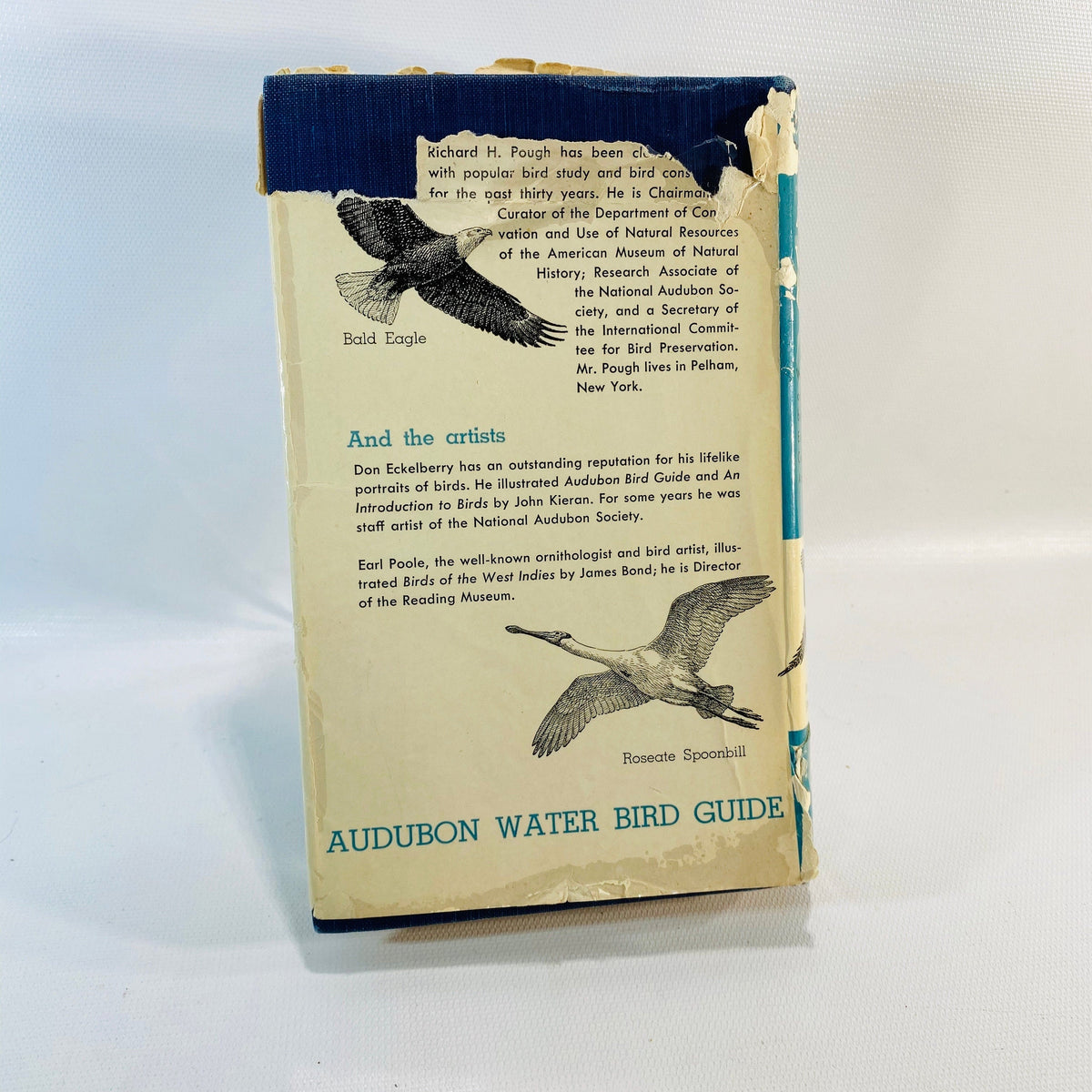 Audubon Water Bird Guide by Richard H. Pough 1951