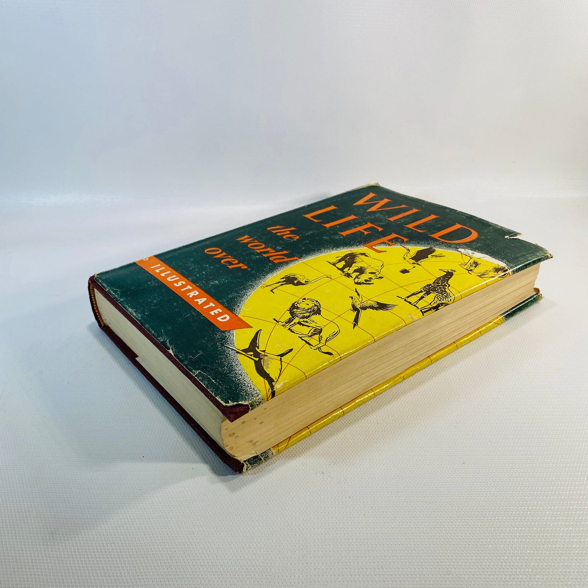 Wild Life the World Over written by 9 distinguished World-Traveled Specialists 1954
