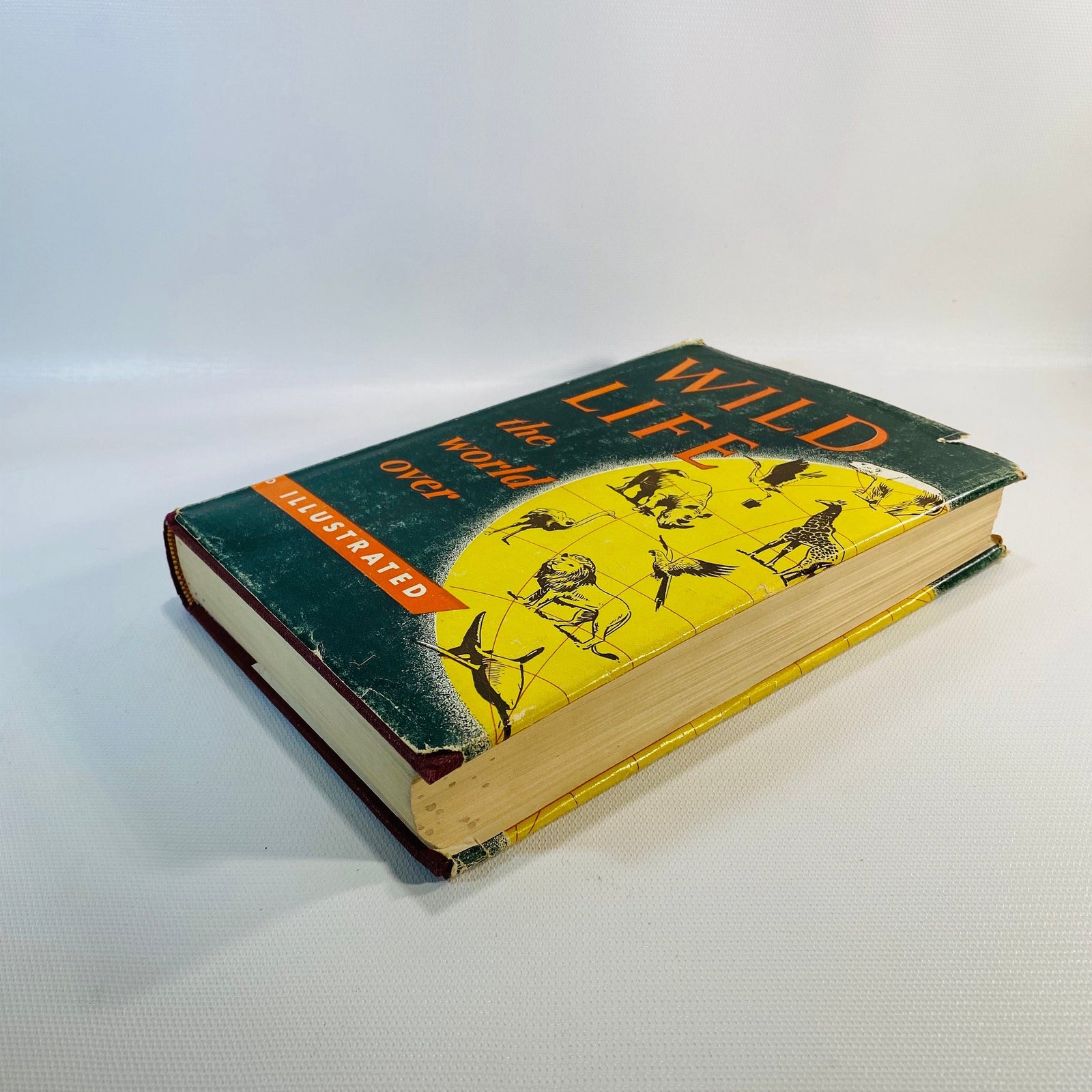 Wild Life the World Over written by 9 distinguished World-Traveled Specialists 1954