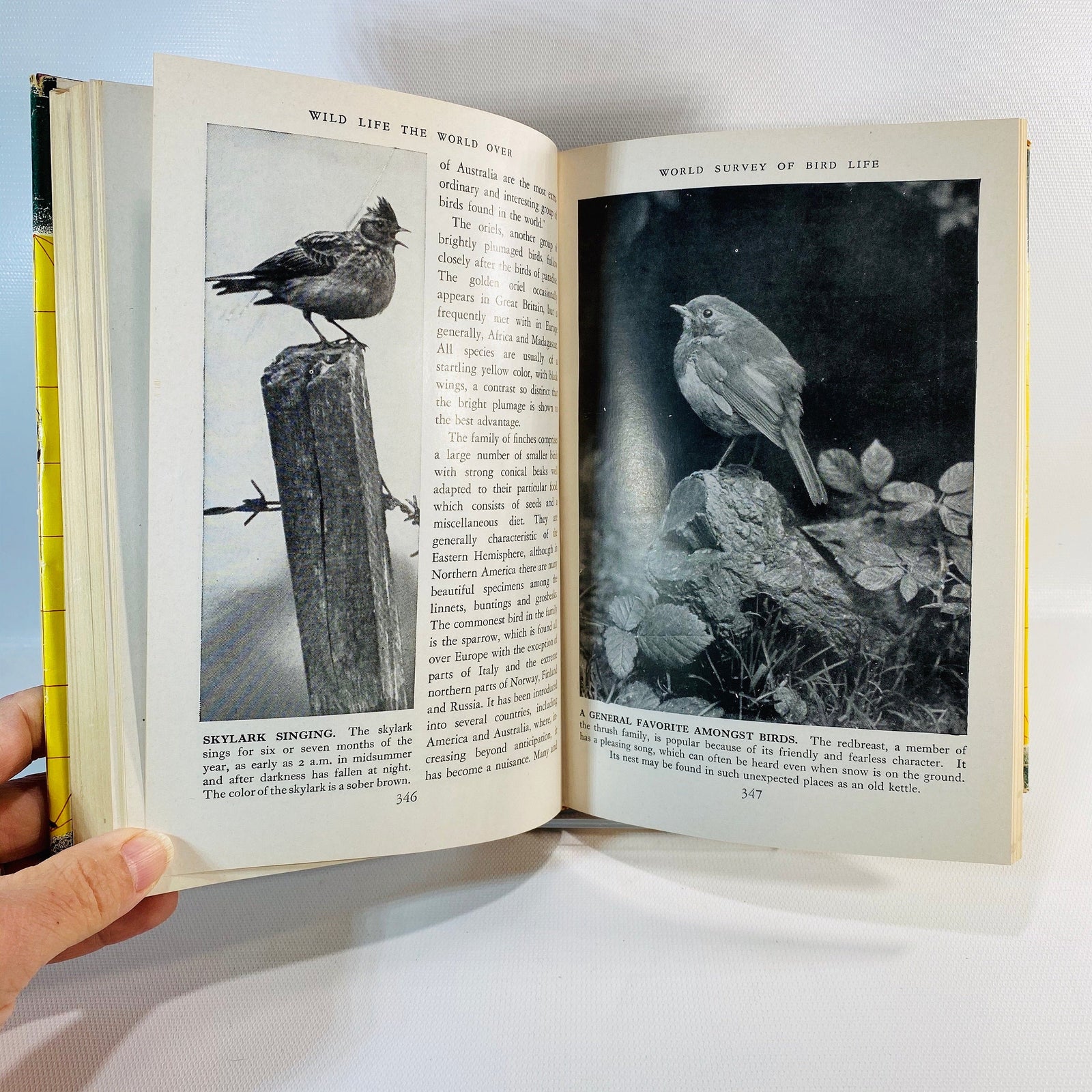 Wild Life the World Over written by 9 distinguished World-Traveled Specialists 1954