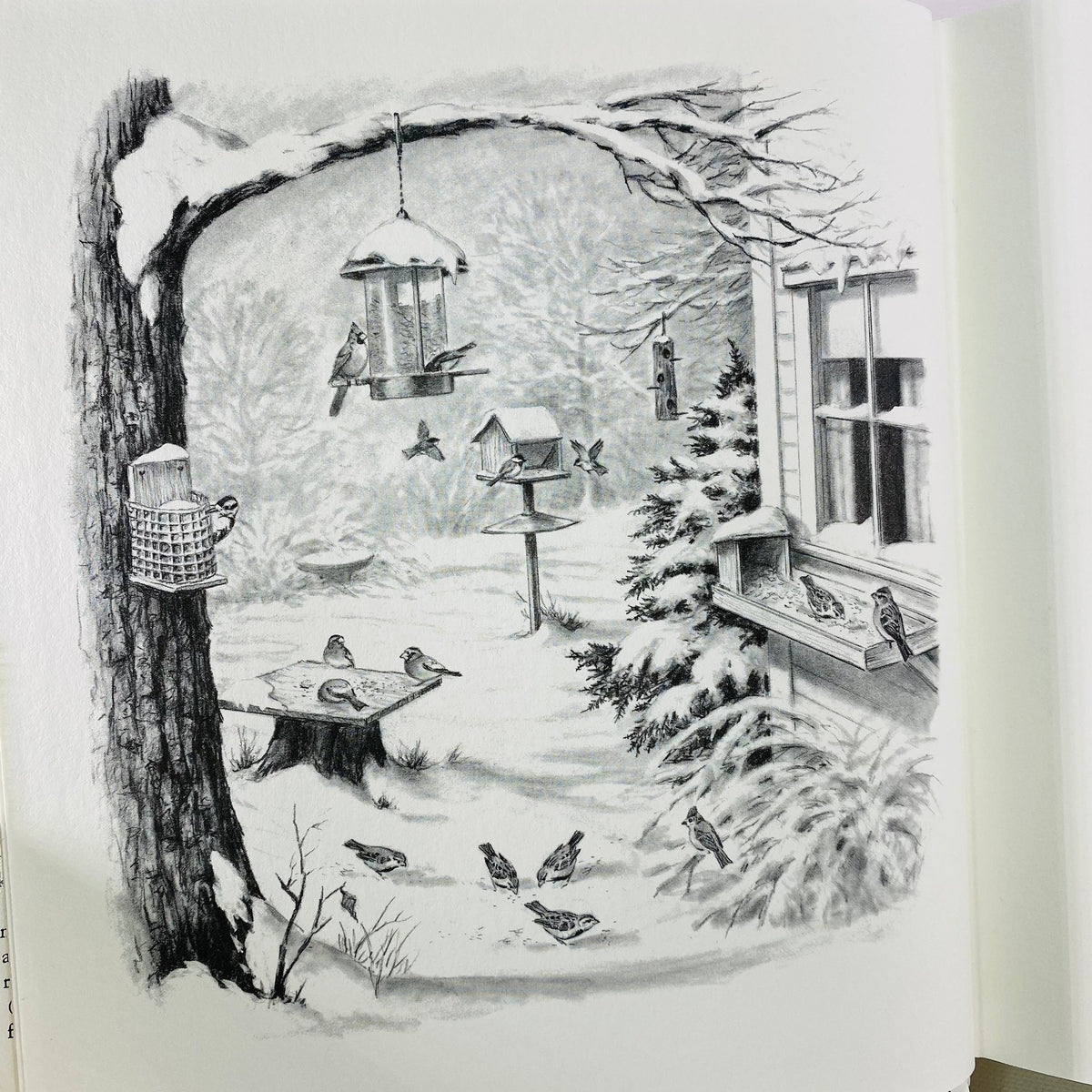 A Complete Guide to Bird Feeding by John Dennis 1975 Vintage Book