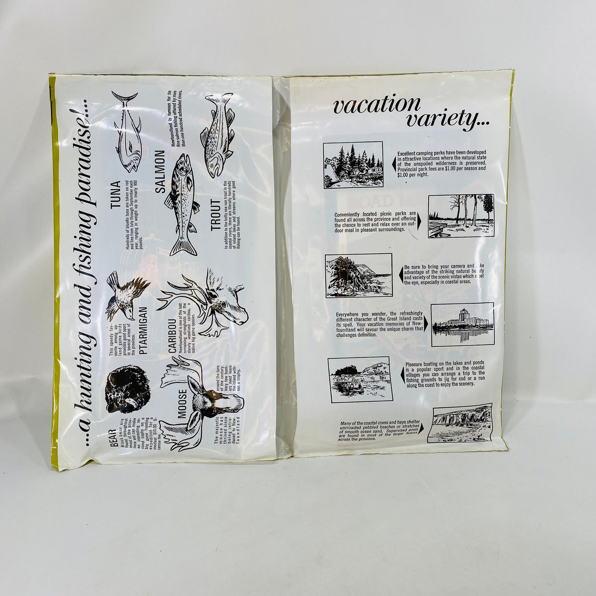 Vintage Newfoundland and Labrador Canada Vacation Planning Pack from 1966-67 Maps & Fishing Guides Vintage Book