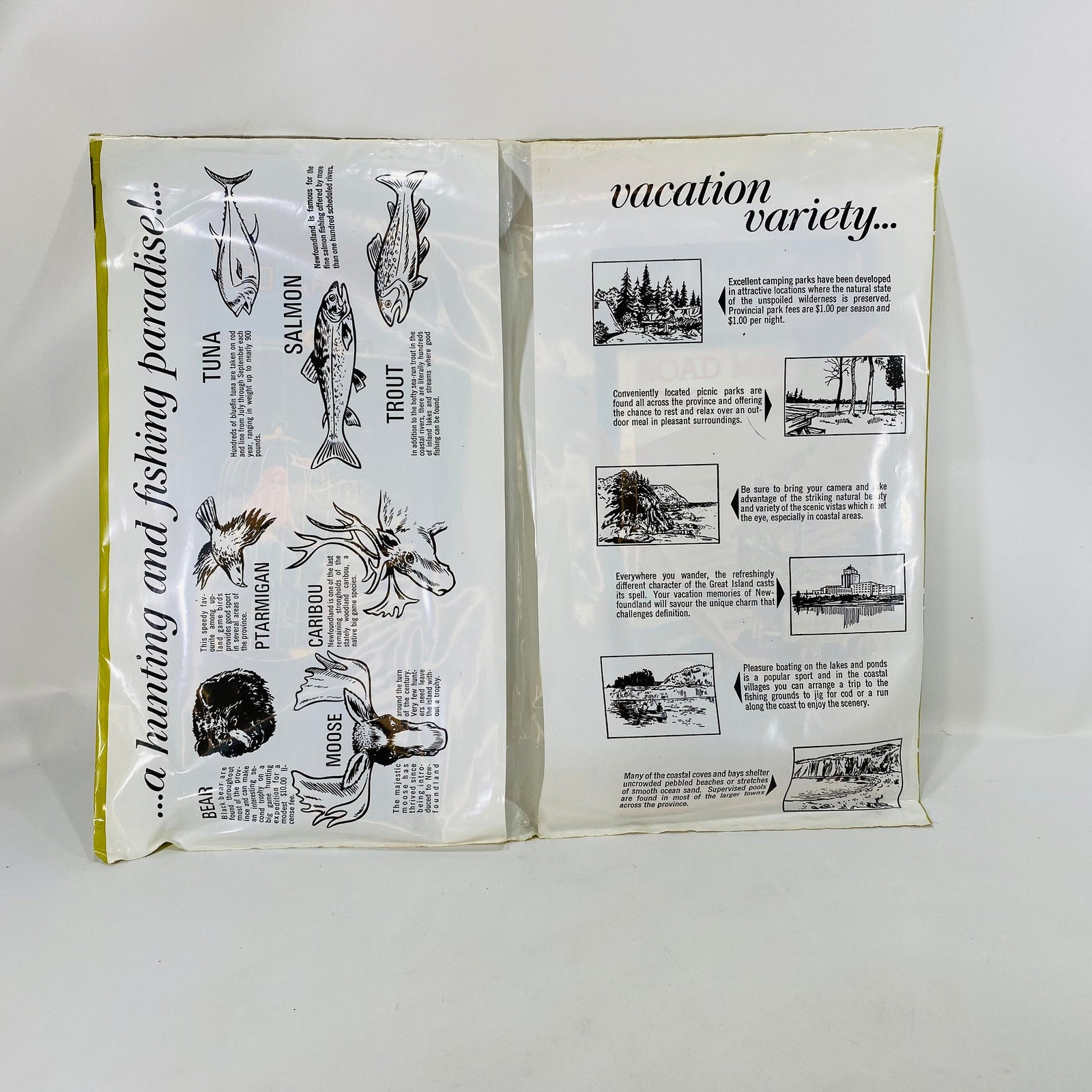 Vintage Newfoundland and Labrador Canada Vacation Planning Pack from 1966-67 Maps & Fishing Guides Vintage Book