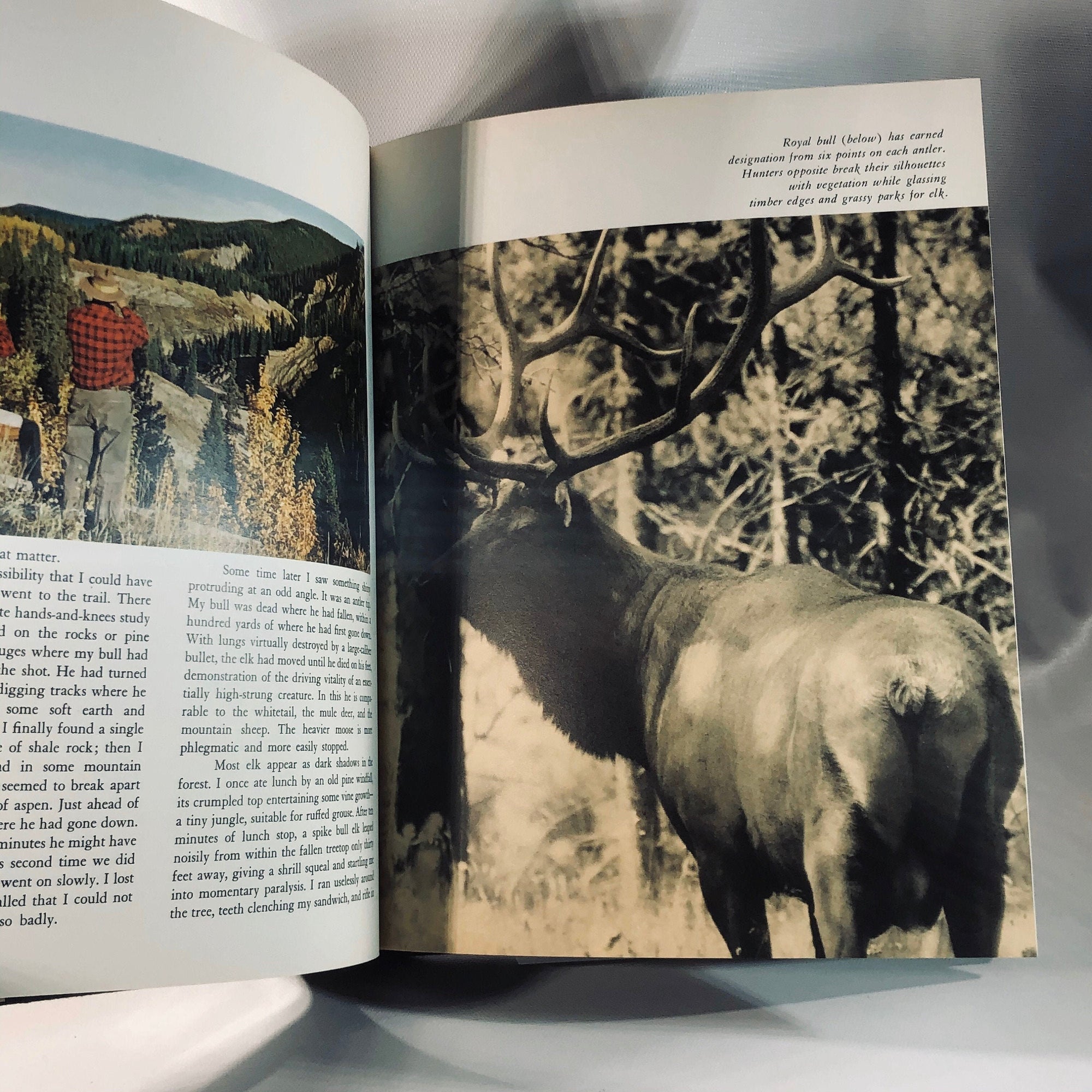 The Hunter's World by Charles Waterman Vintage Book