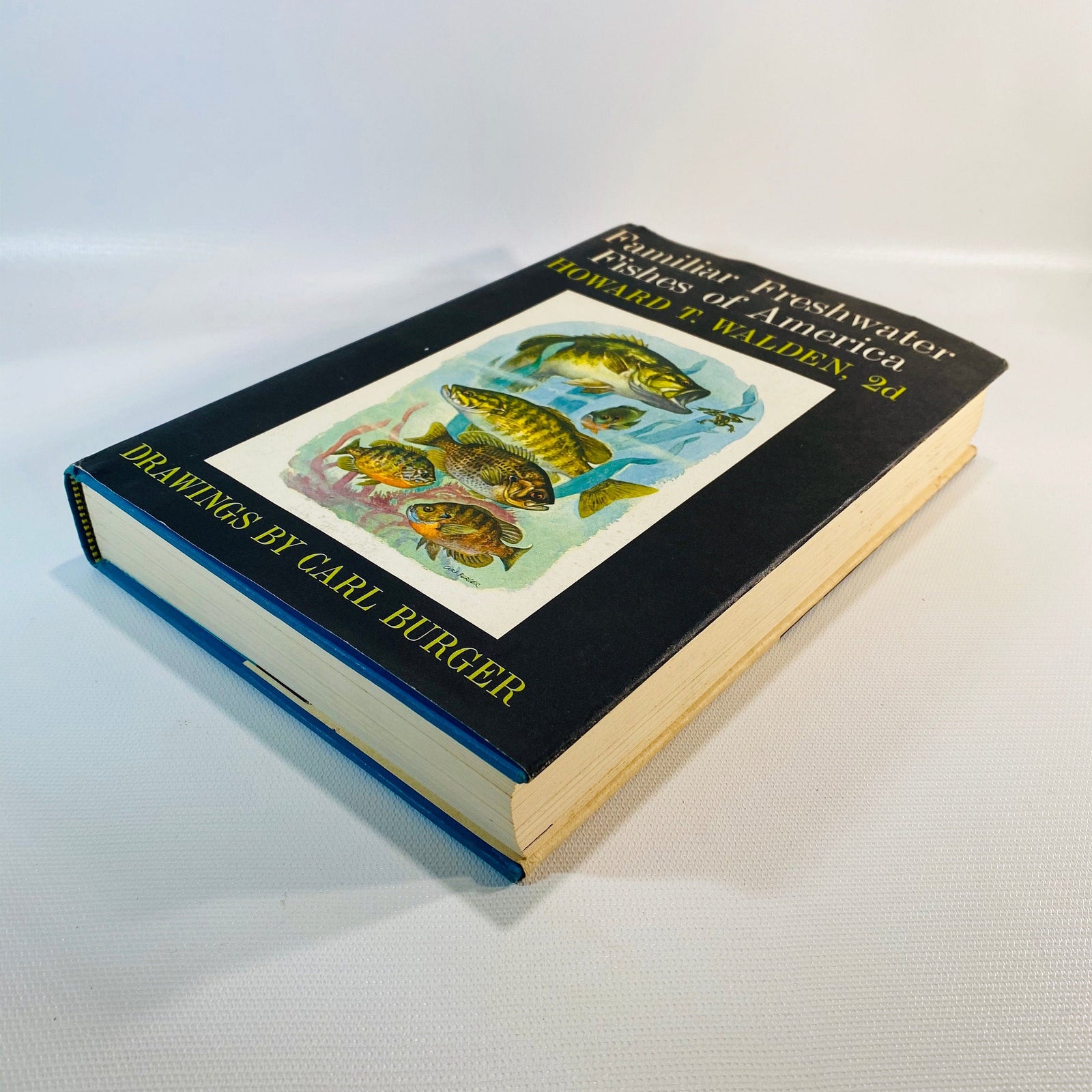 Familiar Freshwater Fishes of America Howard T. Walden 1964 First Edition Vintage Book