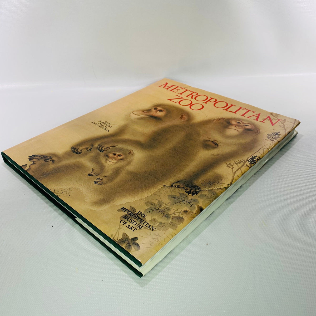 Metropolitan Zoo by Joseph Bell 1985 Harry Abrams Inc